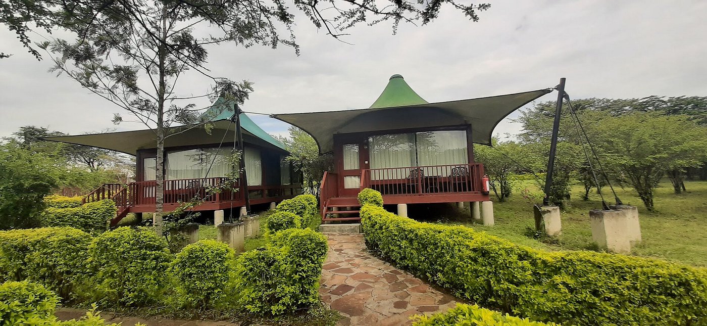 AA lodge (2)