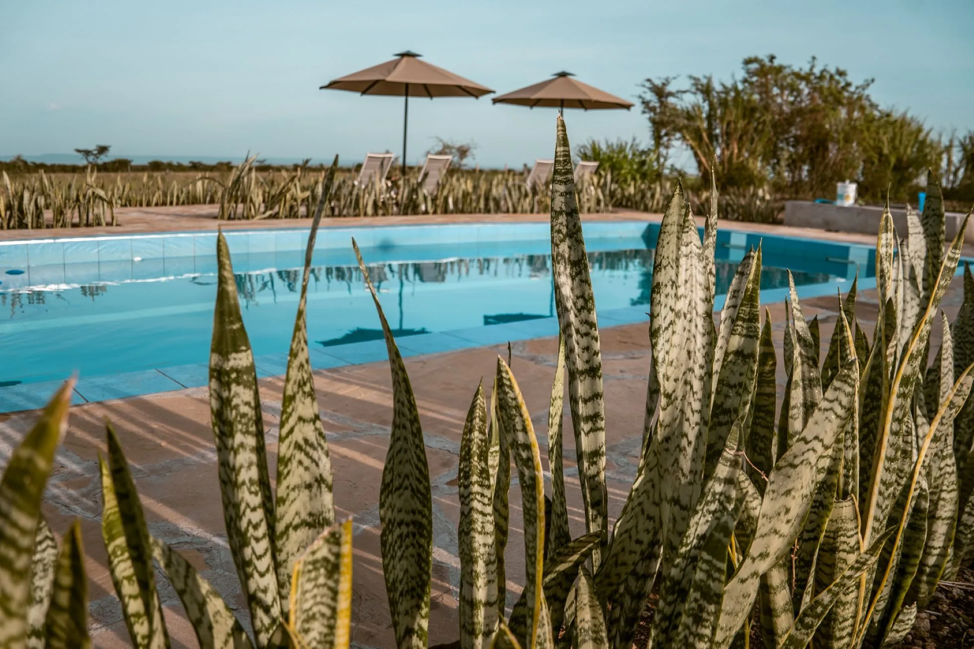IM_KE_MAR_Zebra-Plains-Mara-Camp_Pool