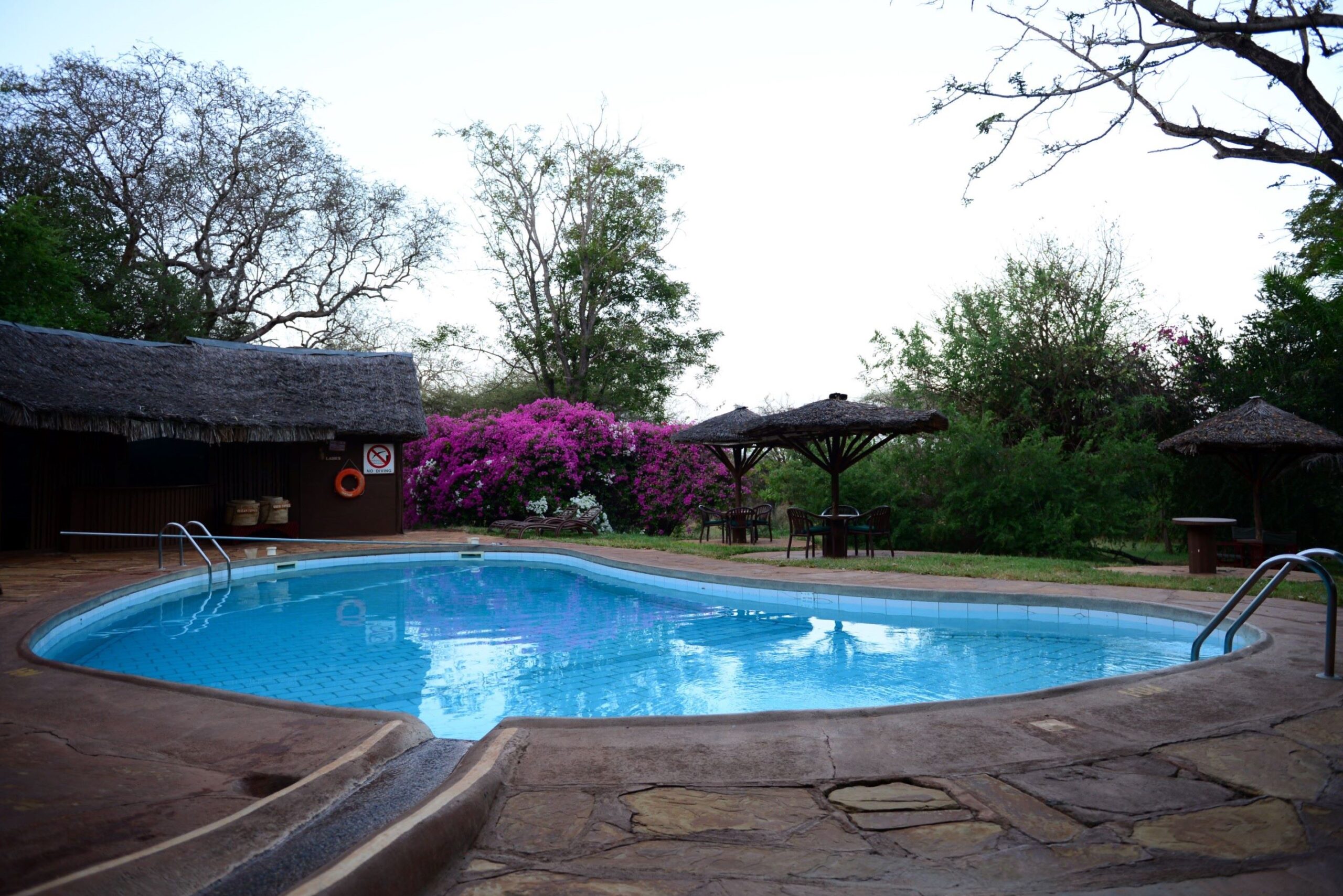 Swimming-Pool-1-scaled