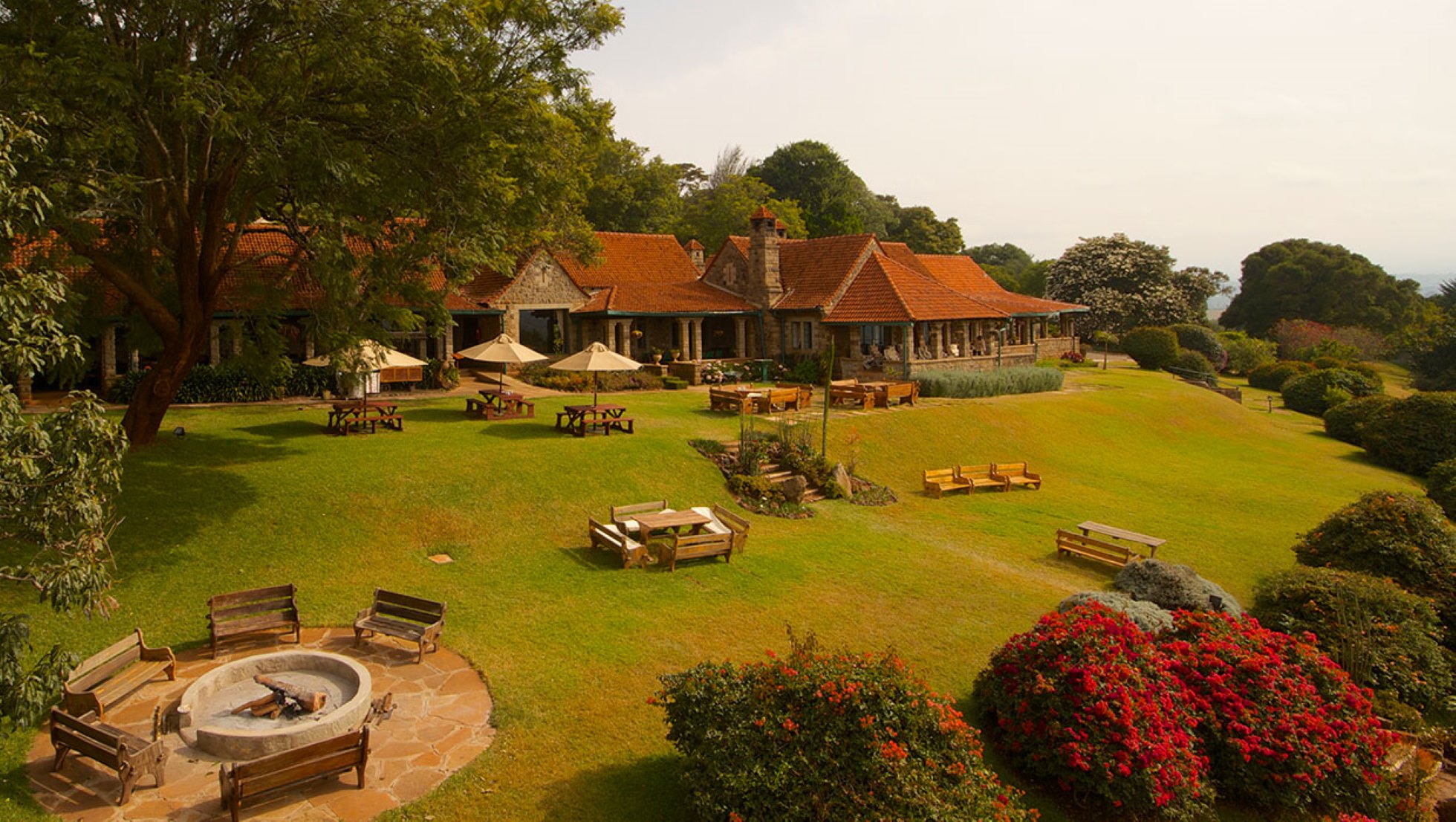 aerial-view-2